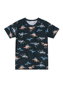 Remera Dino Gris estampa