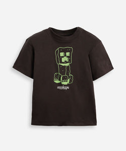 Remera Minecraft