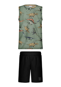 Conjunto Dino Camisilla