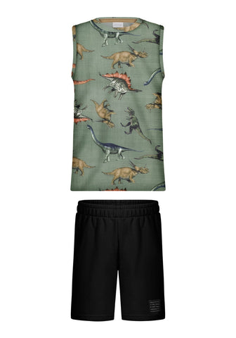 Conjunto Dino Camisilla